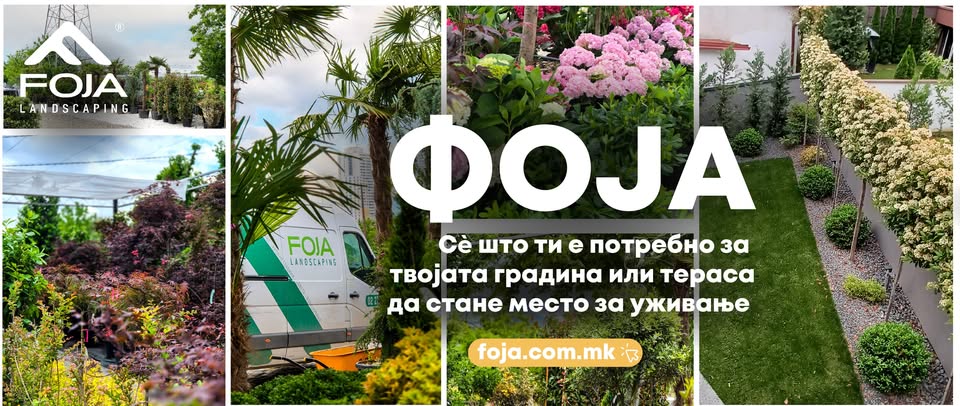 Vera është koha ideale për hortikulturë: Këshilla nga Qendra e Kopshtarisë Foja për bimë të shëndetshme dhe të harlisura 2 Foja cover