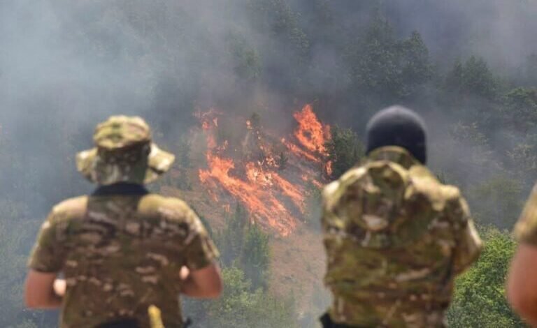 Heroi i ri i Maqedonisë: Traktoristi parandalon përhapjen e zjarrit duke lëruar mes flakëve 4 heroi i ri i maqedonise traktoristi parandalon perhapjen e zjarrit duke leruar mes flakeve 6a803a8c97915