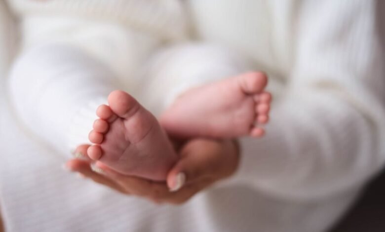 Maqedonia e Veriut në krizë socio-demografike: 1.005 lindje më pak se vdekje në tremujorin e dytë, ulen martesat shtohen divorcet 3 maqedonia e veriut ne krize socio demografike 1 005 lindje me pak se vdekje ne tremujorin e dyte ulen martesat shtohen divorcet 6a907d0c8aa73