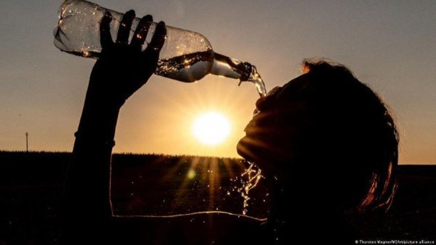Në Gjermani rreth 10.000 të vdekur nga vapa 1 ne gjermani rreth 10 000 te vdekur nga vapa 6a6e4e93eff1b