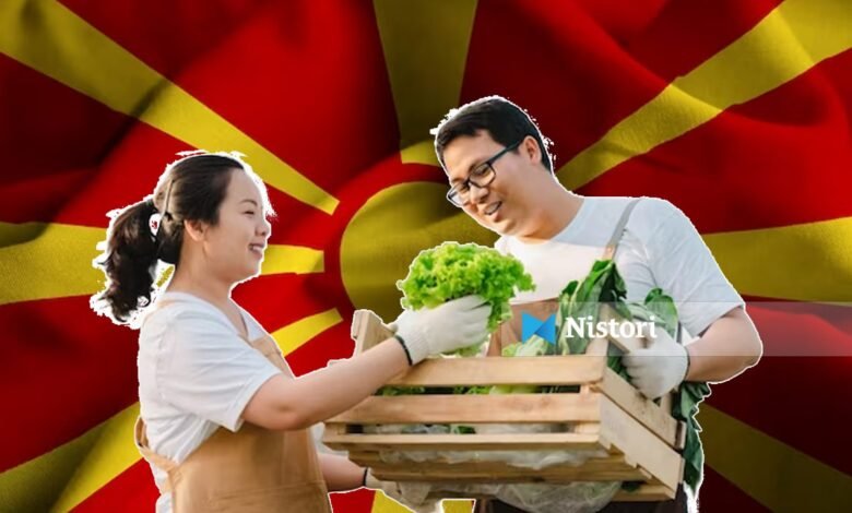 RMV-ja po importon gjithnjë e më shumë fuqi punëtore, mbi 1.800 kërkesa për punëtorë të huaj 5 rmv ja po importon gjithnje e me shume fuqi punetore mbi 1 800 kerkesa per punetore te huaj 6a94392263f2b