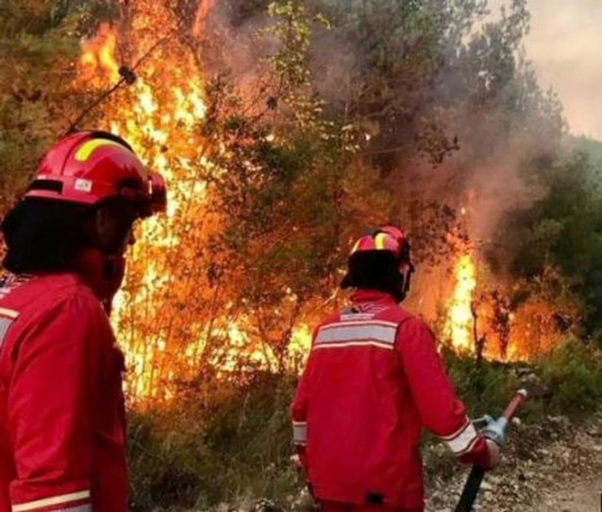 Shtatë vatra vijojnë të jenë aktive, Agjencia e Mbrojtjes Civile raporton angazhimin për neutralizimin e flakëve 3 shtate vatra vijojne te jene aktive agjencia e mbrojtjes civile raporton angazhimin per neutralizimin e flakeve 6a737812bc03a
