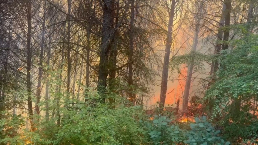 Situata me zjarret, 22 vatra në 24 orë, 3 mbeten aktive/ Helikopterët e Forcave të Armatosura në operacione në Tiranë, Bulqizë dhe Dibër 1 situata me zjarret 22 vatra ne 24 ore 3 mbeten aktive helikopteret e forcave te armatosura ne operacione ne tirane bulqize dhe diber 6a913df053382