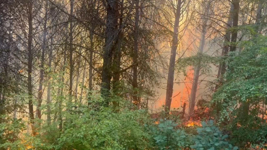 Situata me zjarret në vend/ 7 vatra mbeten aktive, flakët përfshijnë Tiranën, Dibrën, Vlorën, Gjirokastrën dhe Korçën 1 situata me zjarret ne vend 7 vatra mbeten aktive flaket perfshijne tiranen dibren vloren gjirokastren dhe korcen 6a91924fb3462