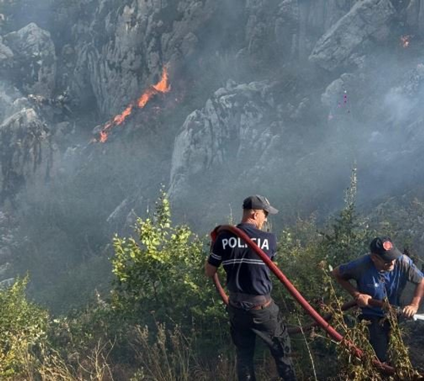 Tre javë nën pushtetin e zjarreve, 8 hektarë pyje të dëmtuara në Malin e Dardhës të Librazhdit, vijon beteja me flakët 3 tre jave nen pushtetin e zjarreve 8 hektare pyje te demtuara ne malin e dardhes te librazhdit vijon beteja me flaket 6a8e9aefb3c22