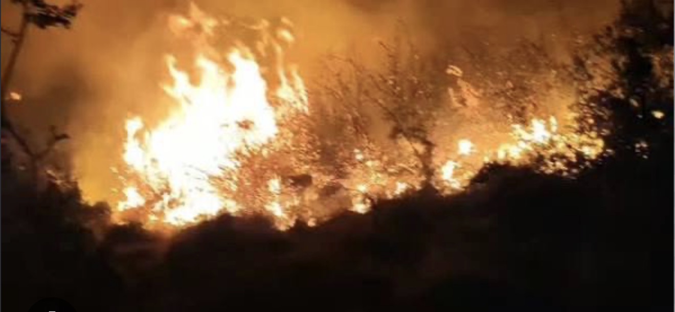 31 zjarre në Maqedoninë e Veriut, dy ende aktive: flakët kalojnë edhe në Kosovë 1 31 zjarre ne maqedonine e veriut dy ende aktive flaket kalojne edhe ne kosove 6a9bcf0e57fab