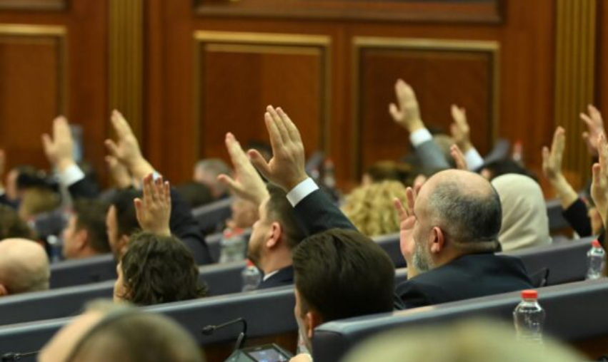 lvv merr vendim neser voton citakun dhe shalen per nenkryetare te kuvendit 6aa5c8d71318b