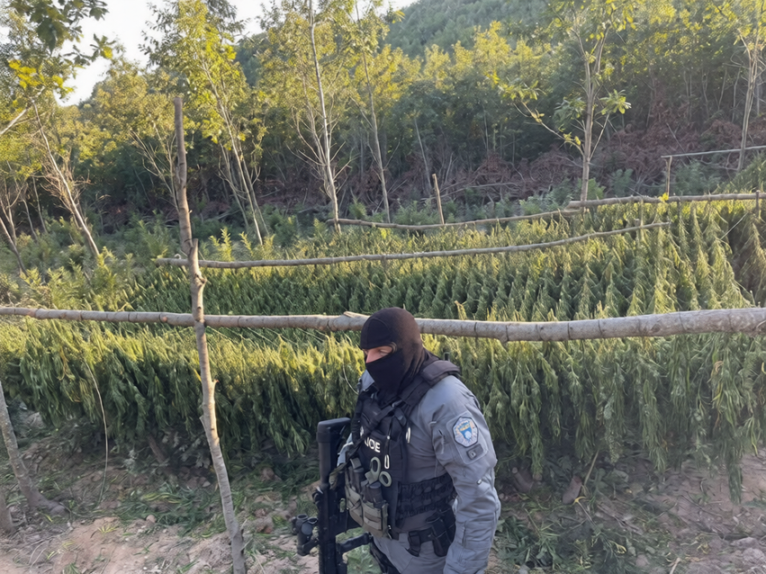 Nga kërcënimet ndaj prokurorit Qavolli, deri tek aksioni madhor antidrogë/ Këta janë të akuzuarit për mbi 1 ton drogë në Pejë 1 nga kercenimet ndaj prokurorit qavolli deri tek aksioni madhor antidroge keta jane te akuzuarit per mbi 1 ton droge ne peje 6abcdb1423099