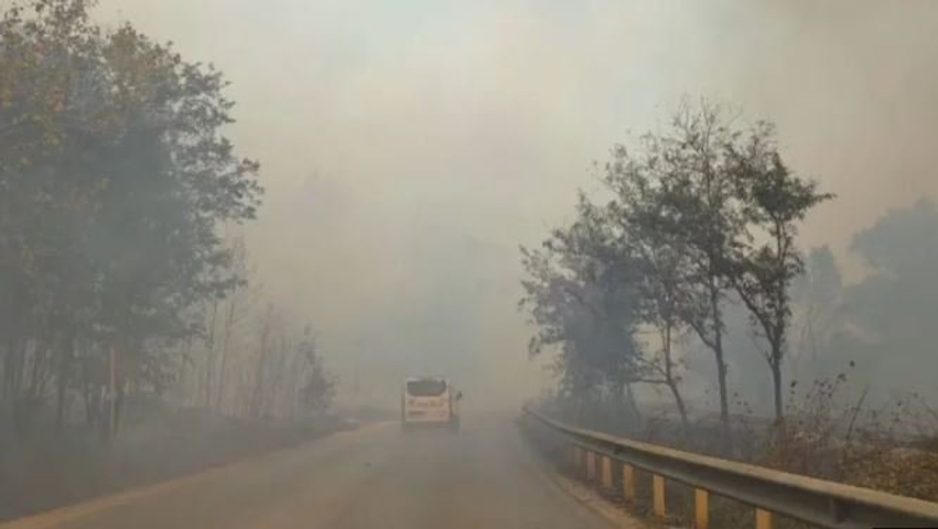 shefi i emergjencave civile jep detaje per situaten e zjarrit ne fier 6a9b051363199