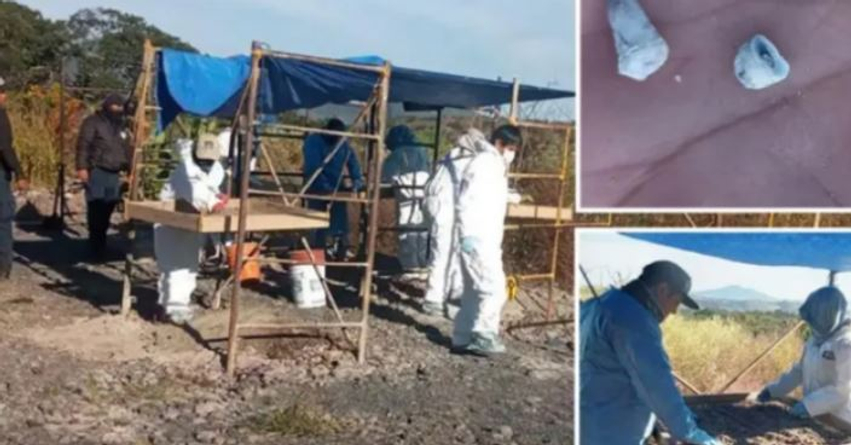 Zbulim i pazakontë në Meksikë, gjenden rreth 1600 dhëmbë qumështi në zonë të dyshuar si varr masiv 3 zbulim i pazakonte ne meksike gjenden rreth 1600 dhembe qumeshti ne zone te dyshuar si varr masiv 6ab903918dcbc