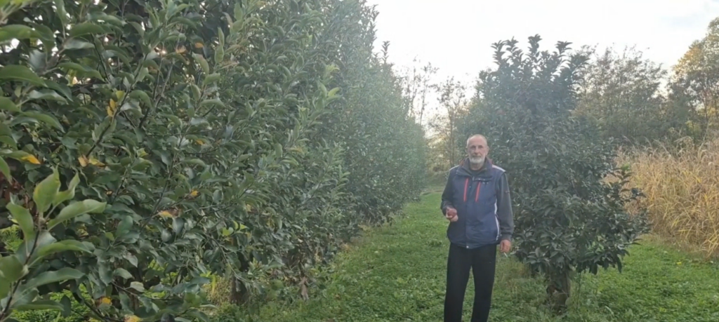 Bereqet me humbje, mollët e këtij viti shiten nën kosto! Problem edhe mungesa e depove – po çon në kalbjen e mollëve 2 bereqet me humbje mollet e ketij viti shiten nen kosto problem edhe mungesa e depove po con ne kalbjen e molleve 6add8055cc51c