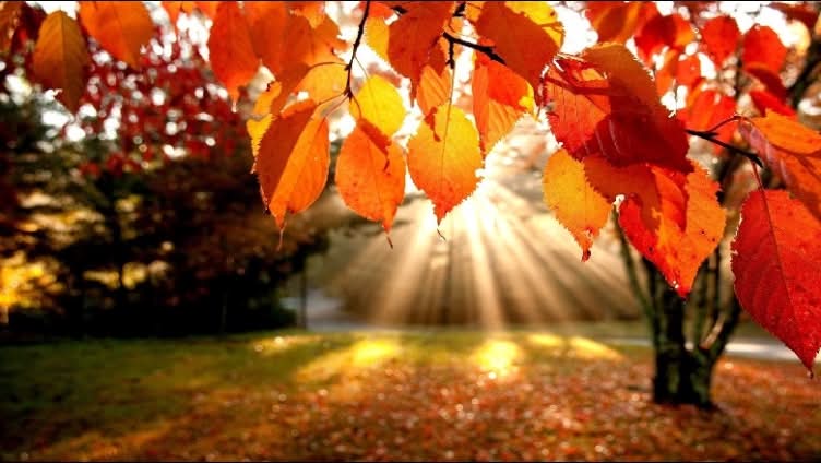 moti ndryshon ne fund te tetorit priten reshje shiu dhe renie e temperaturave 6ad5d10eba912