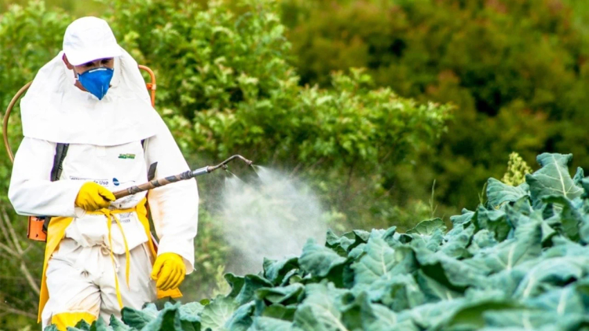 pesticidet e ndaluara ne treg klsh u zgjaten afatet per dhjete pesticide te ndaluara ne be mungon kontrolli 6acce5d17e763