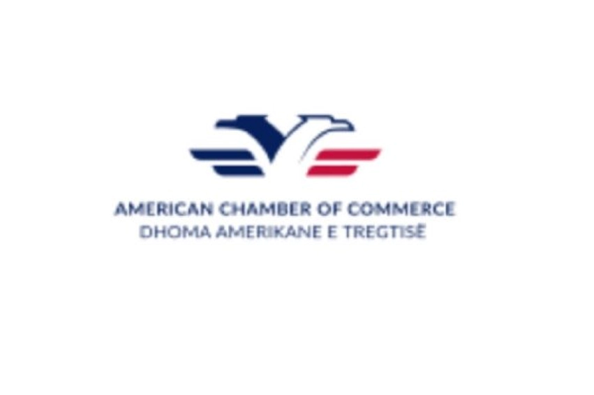 protestat ne shqiperi dhoma amerikane e tregtise shpreh shqetesim per demtimin e bizneseve 6ad9fd6eb4e89