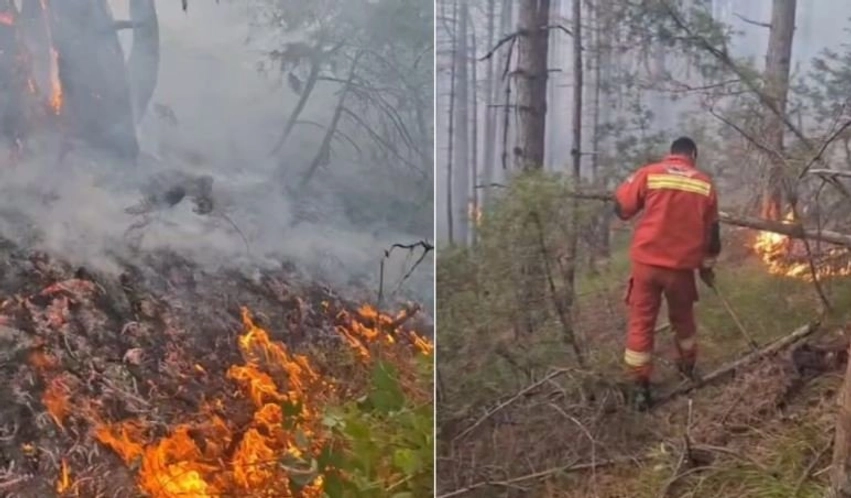 riaktivizohet vatra e zjarrit ne malet e gjinarit ne elbasan 6ac1247028ca8